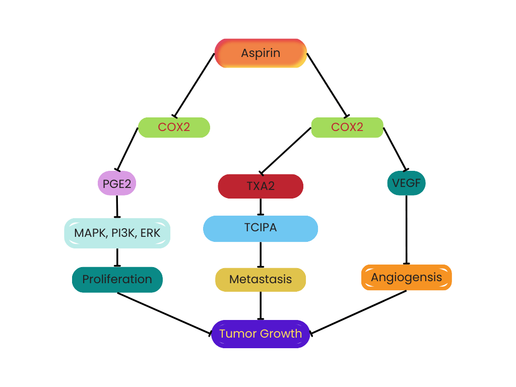 Chain-Bioinhale-R&D-IMG-1